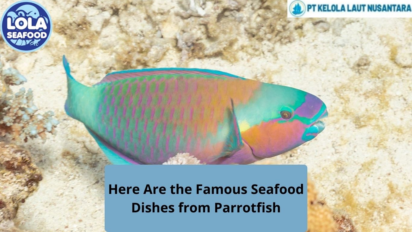 Here Are the Famous Seafood Dishes from Parrotfish